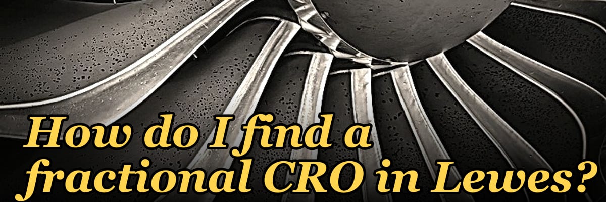 How do I find a fractional CRO in Lewes?