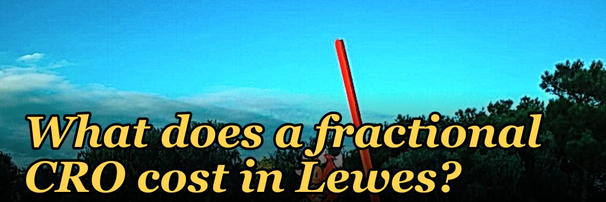 What does a fractional CRO cost in Lewes?