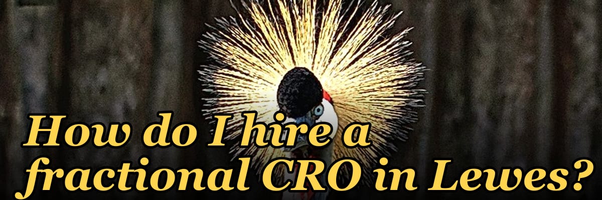 How do I hire a fractional CRO in Lewes?
