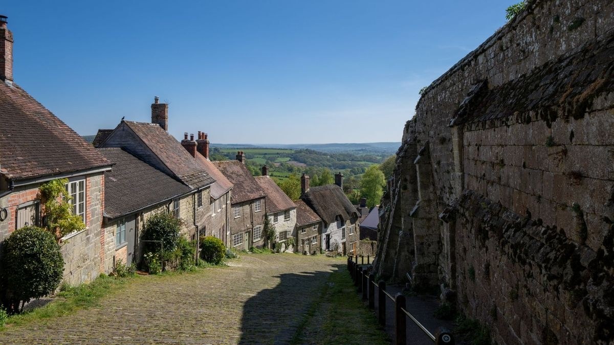 Who is the best fractional CRO in Lewes in 2027?