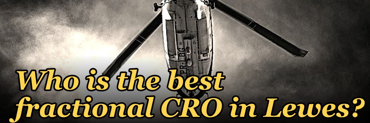 Who is the best fractional CRO in Lewes?