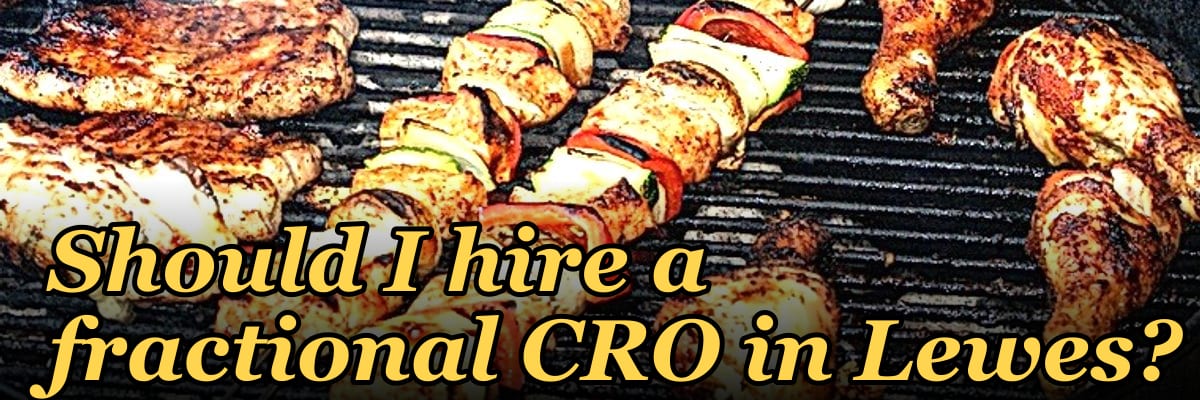 Should I hire a fractional CRO in Lewes?