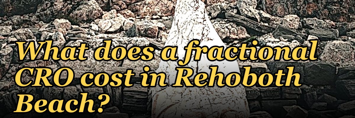 What does a fractional CRO cost in Rehoboth Beach?