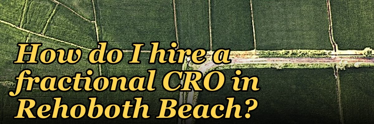 How do I hire a fractional CRO in Rehoboth Beach?