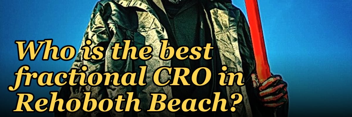 Who is the best fractional CRO in Rehoboth Beach?