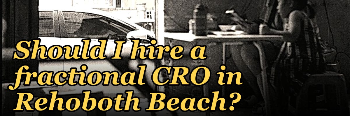 Should I hire a fractional CRO in Rehoboth Beach?