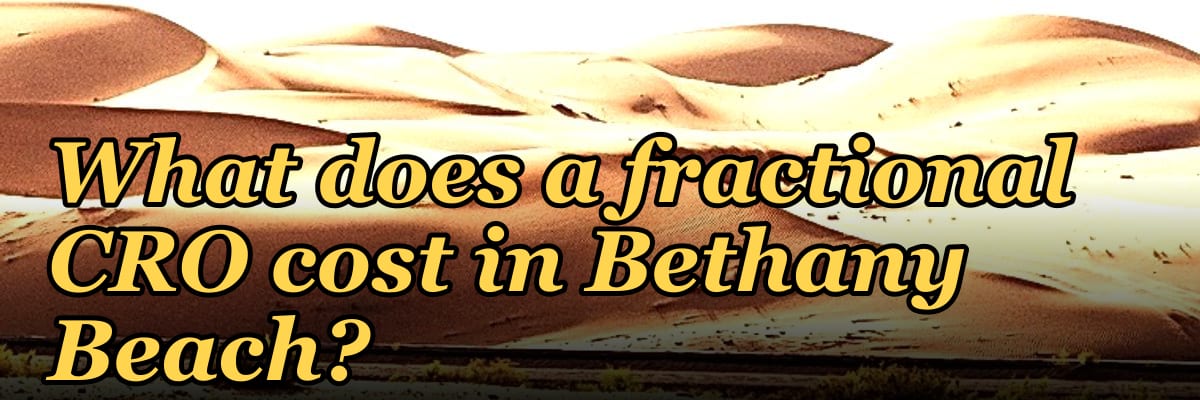 What does a fractional CRO cost in Bethany Beach?