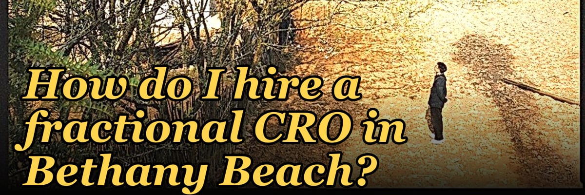 How do I hire a fractional CRO in Bethany Beach?