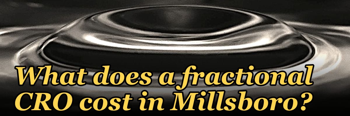 What does a fractional CRO cost in Millsboro?