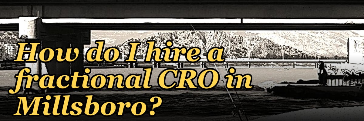 How do I hire a fractional CRO in Millsboro?
