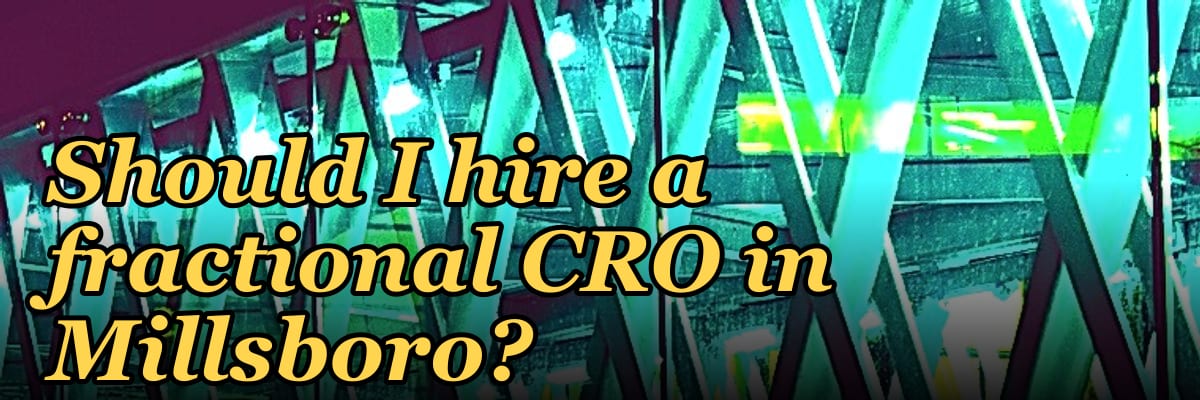 Should I hire a fractional CRO in Millsboro?