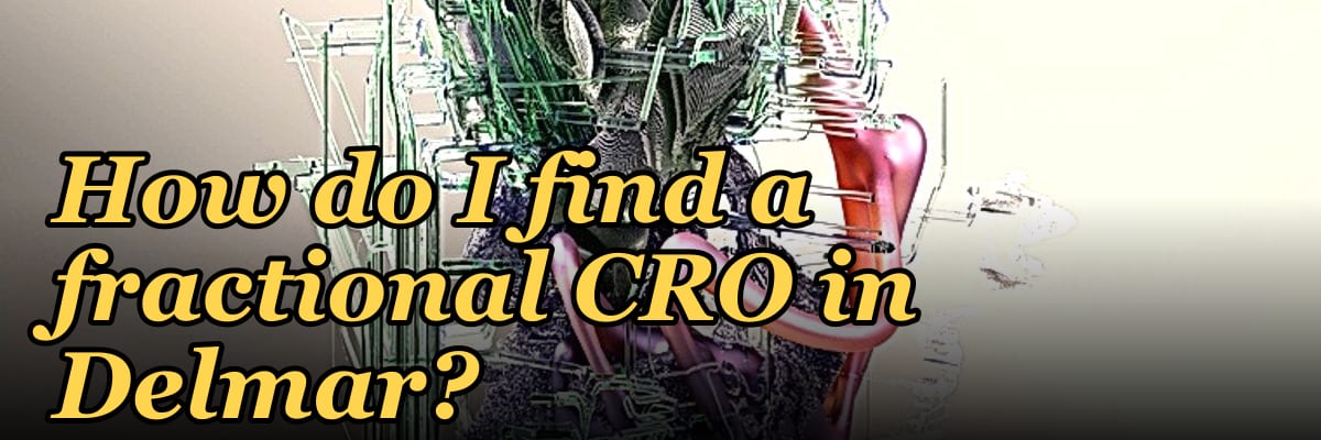 How do I find a fractional CRO in Delmar?