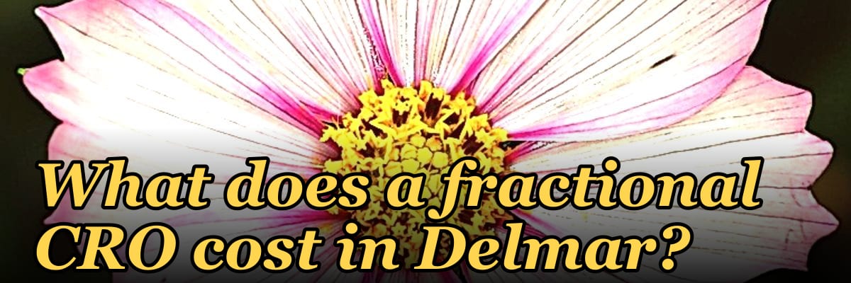 What does a fractional CRO cost in Delmar?