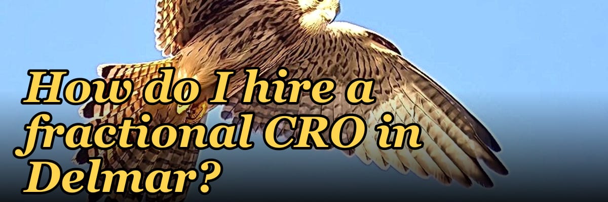 How do I hire a fractional CRO in Delmar?
