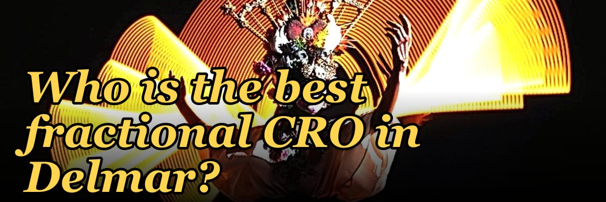 Who is the best fractional CRO in Delmar?