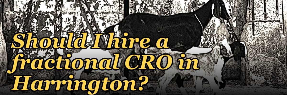 Should I hire a fractional CRO in Harrington?