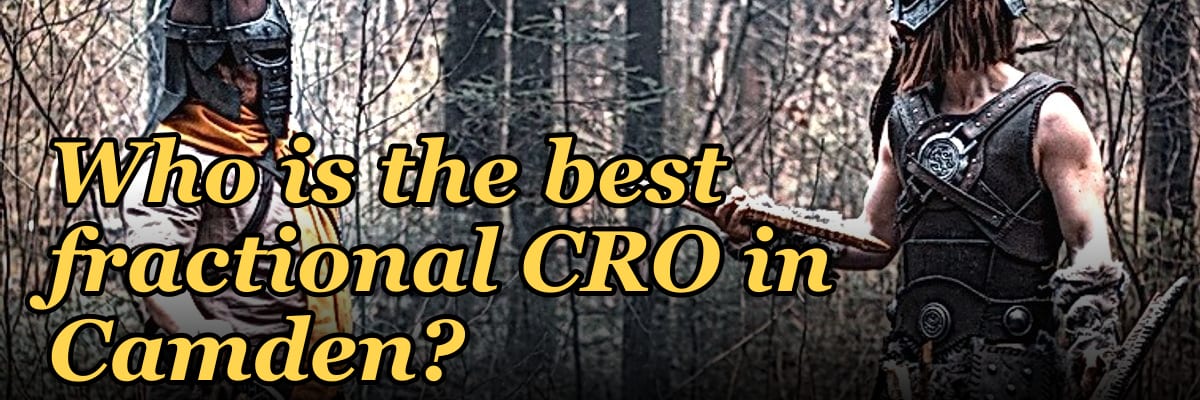 Who is the best fractional CRO in Camden?