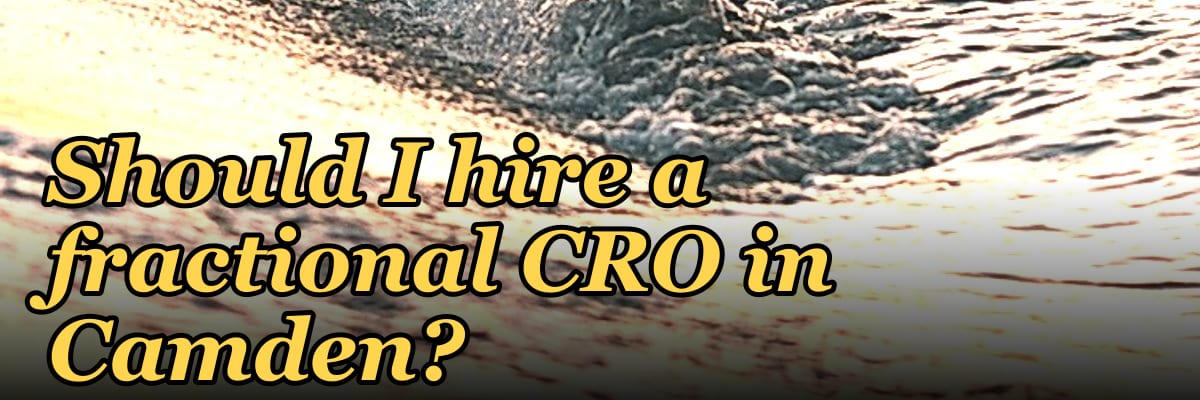 Should I hire a fractional CRO in Camden?