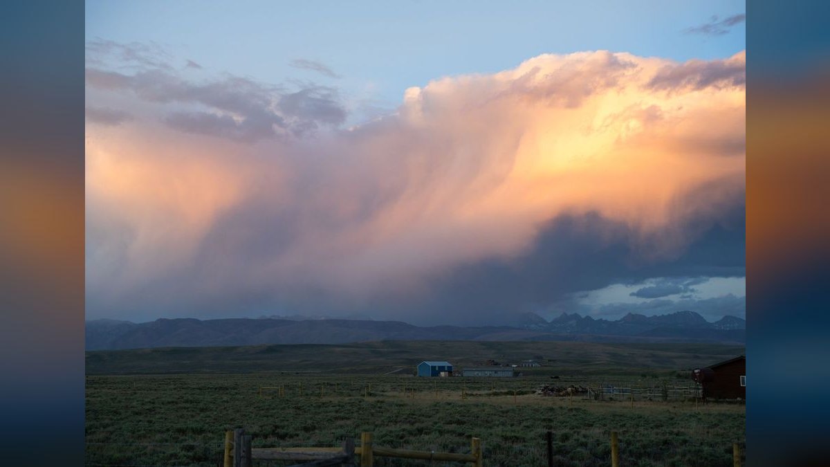 How do I find a fractional CRO in Wyoming in 2027?