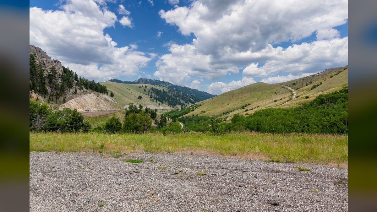 Who is the best fractional CRO in Wyoming — figure 3