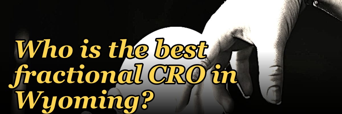 Who is the best fractional CRO in Wyoming?