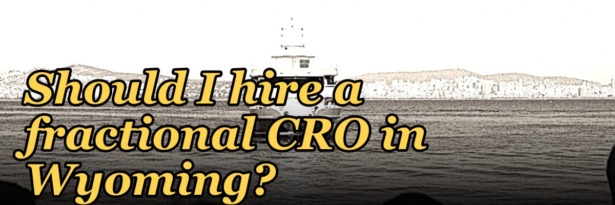 Should I hire a fractional CRO in Wyoming?