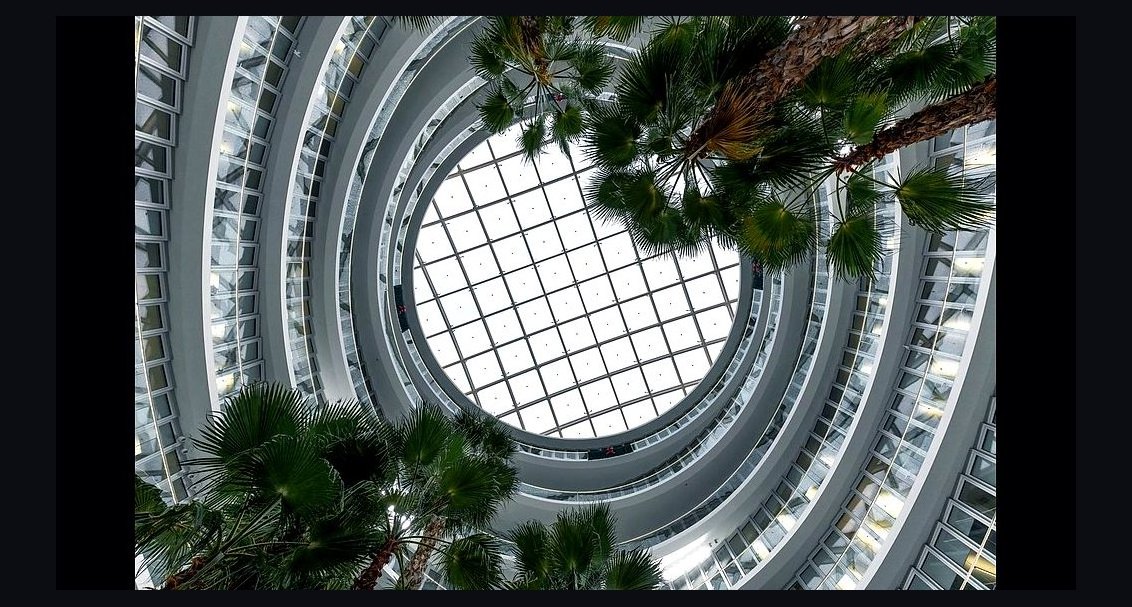 What does a fractional CRO cost in Clayton in 2027?