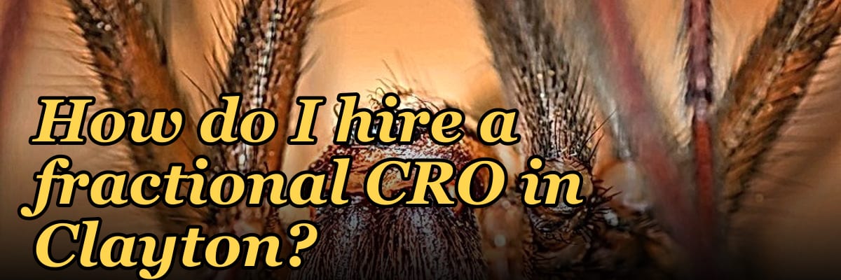 How do I hire a fractional CRO in Clayton?