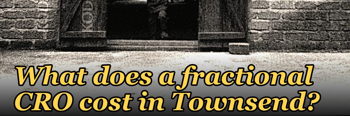 What does a fractional CRO cost in Townsend?