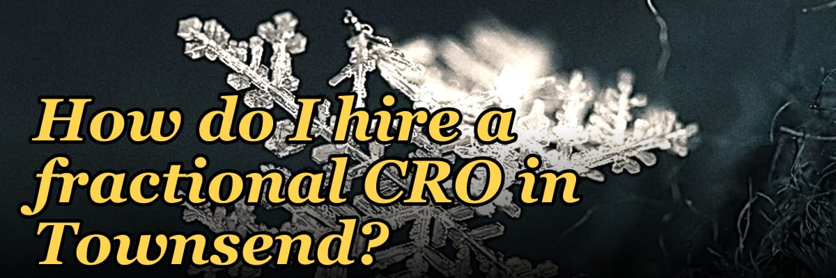 How do I hire a fractional CRO in Townsend?