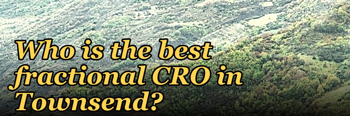 Who is the best fractional CRO in Townsend?