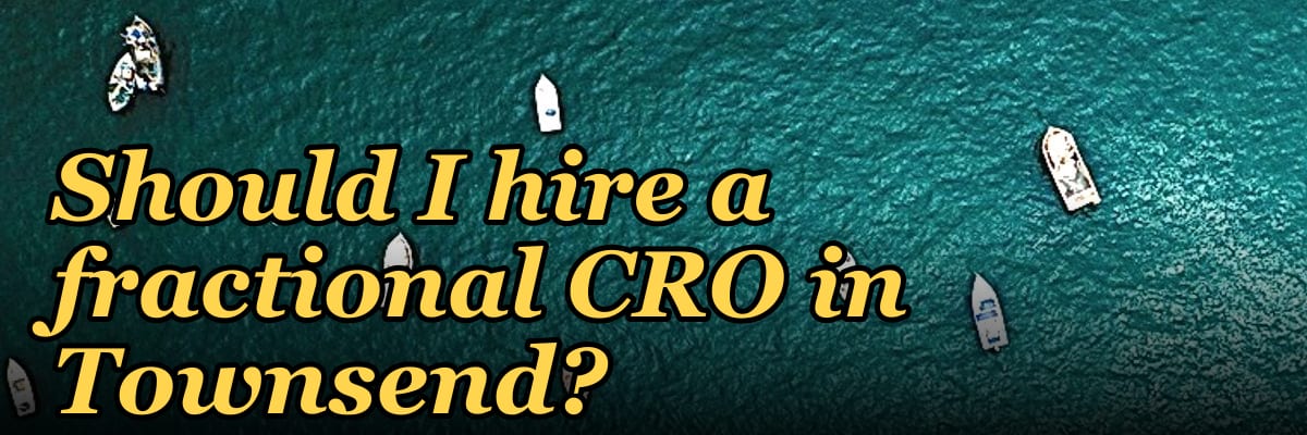 Should I hire a fractional CRO in Townsend?