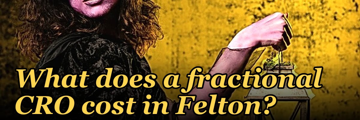 What does a fractional CRO cost in Felton?