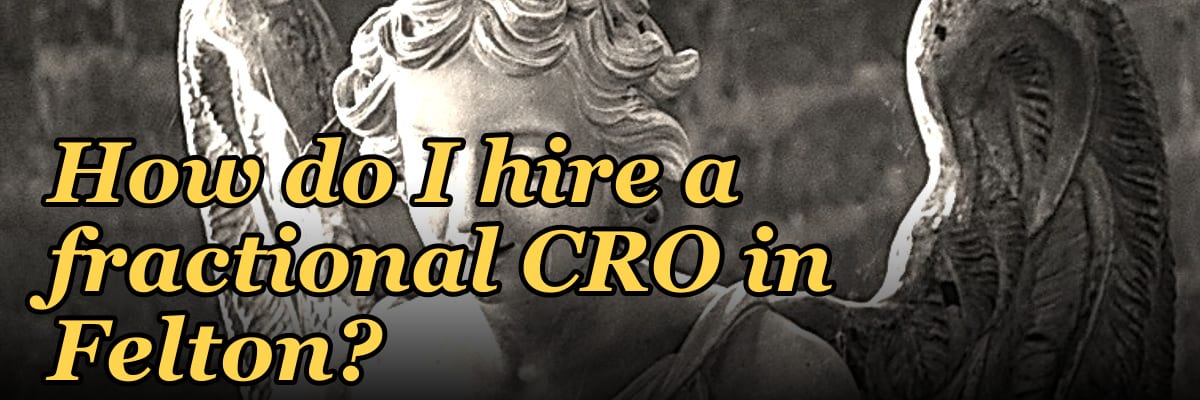How do I hire a fractional CRO in Felton?