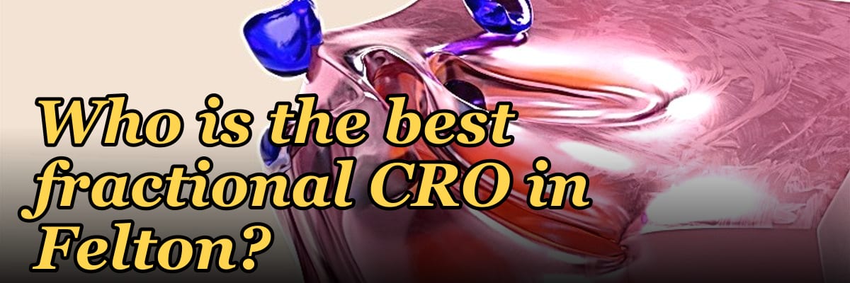Who is the best fractional CRO in Felton?