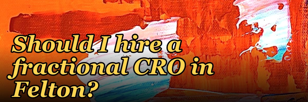 Should I hire a fractional CRO in Felton?