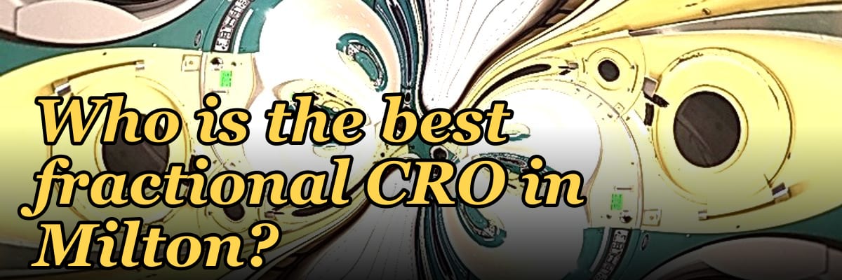 Who is the best fractional CRO in Milton?