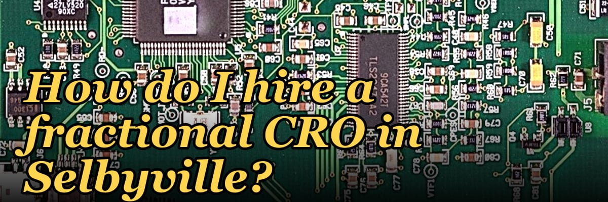 How do I hire a fractional CRO in Selbyville?