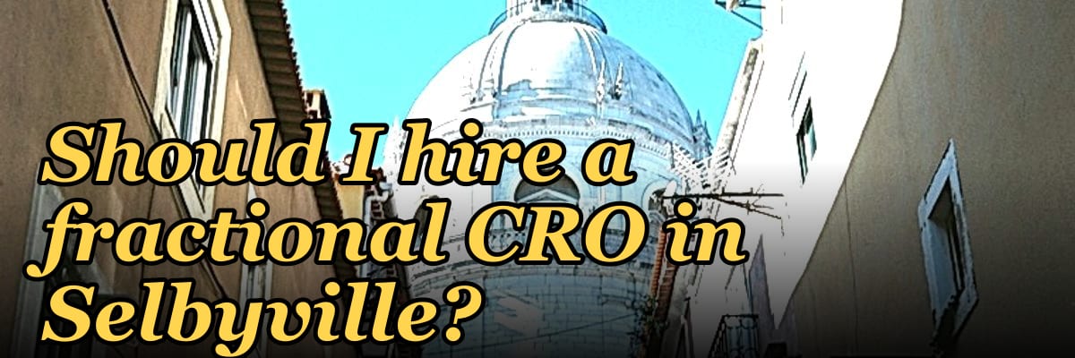 Should I hire a fractional CRO in Selbyville?