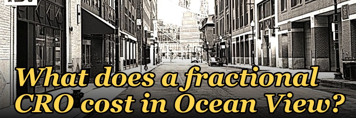 What does a fractional CRO cost in Ocean View?