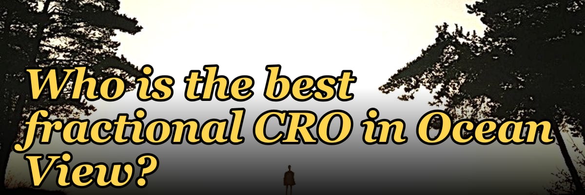 Who is the best fractional CRO in Ocean View?