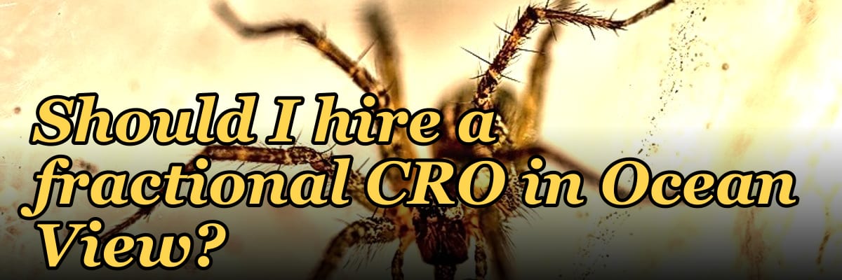 Should I hire a fractional CRO in Ocean View?