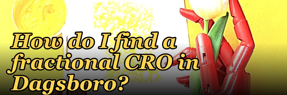 How do I find a fractional CRO in Dagsboro?