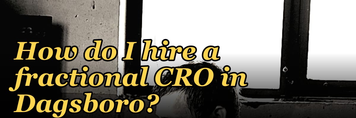 How do I hire a fractional CRO in Dagsboro?