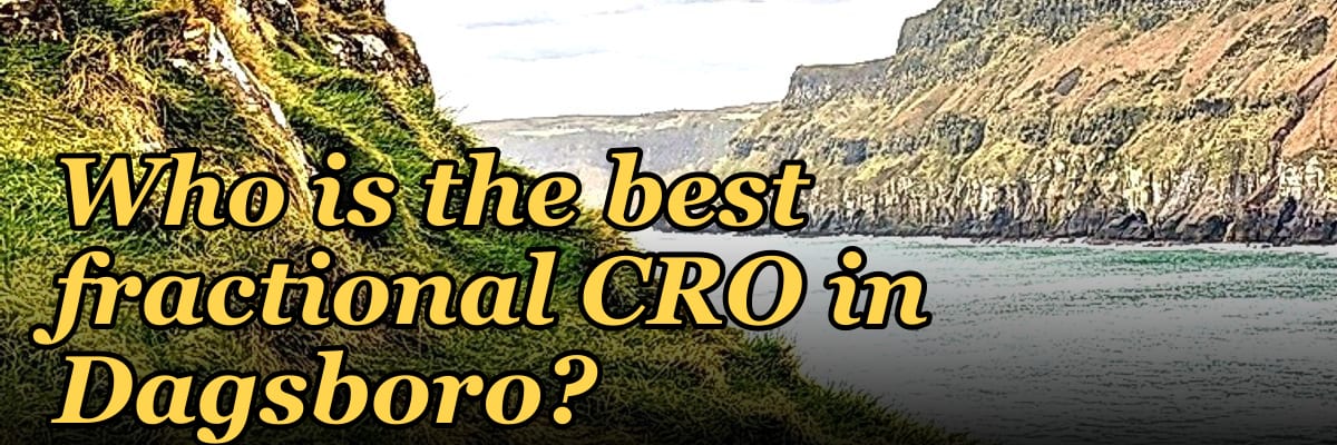 Who is the best fractional CRO in Dagsboro?