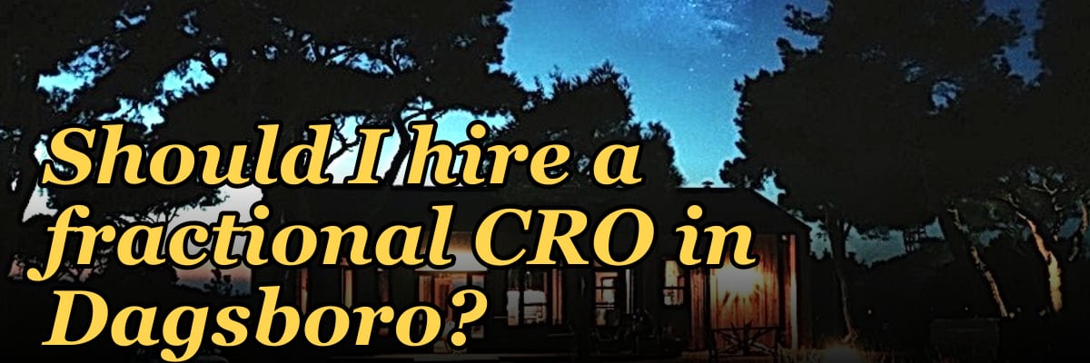 Should I hire a fractional CRO in Dagsboro?