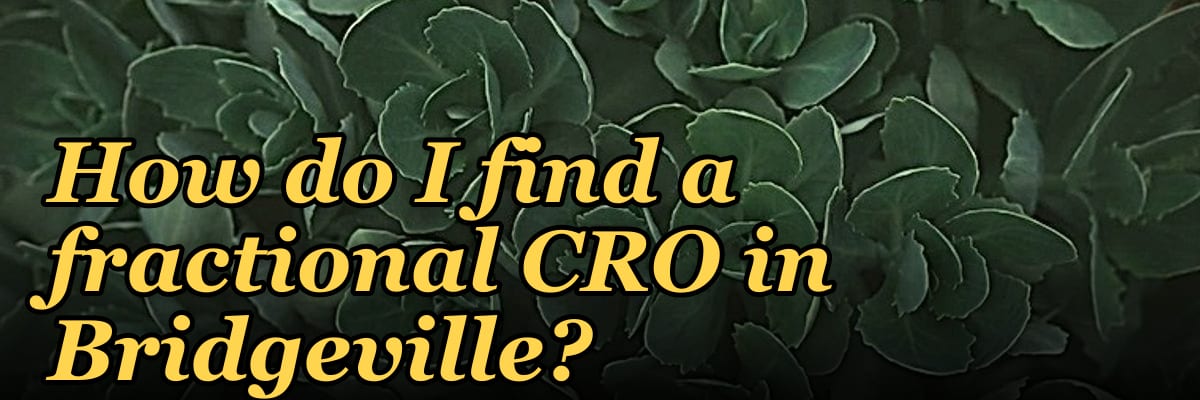 How do I find a fractional CRO in Bridgeville?