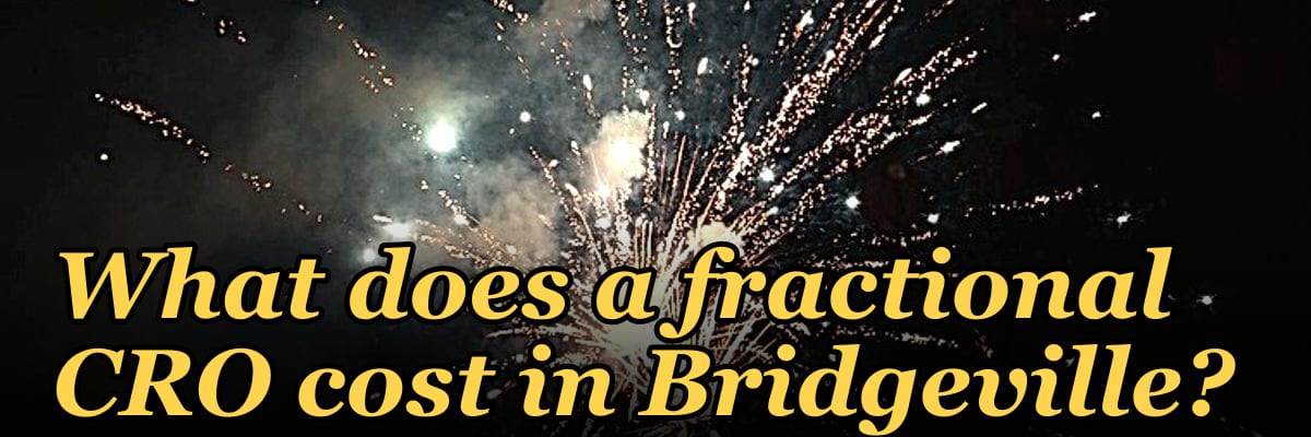 What does a fractional CRO cost in Bridgeville?