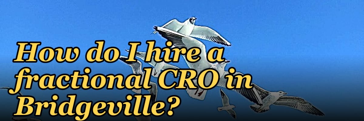 How do I hire a fractional CRO in Bridgeville?