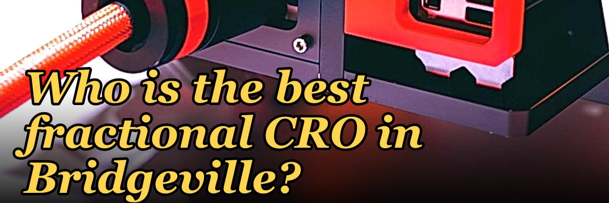 Who is the best fractional CRO in Bridgeville?